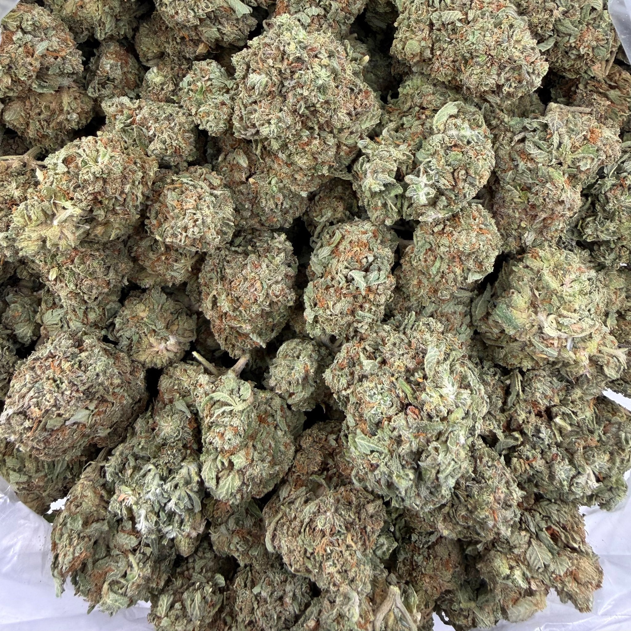 Jelly Cake bulk THCA flower — Plain Jane 1 lb