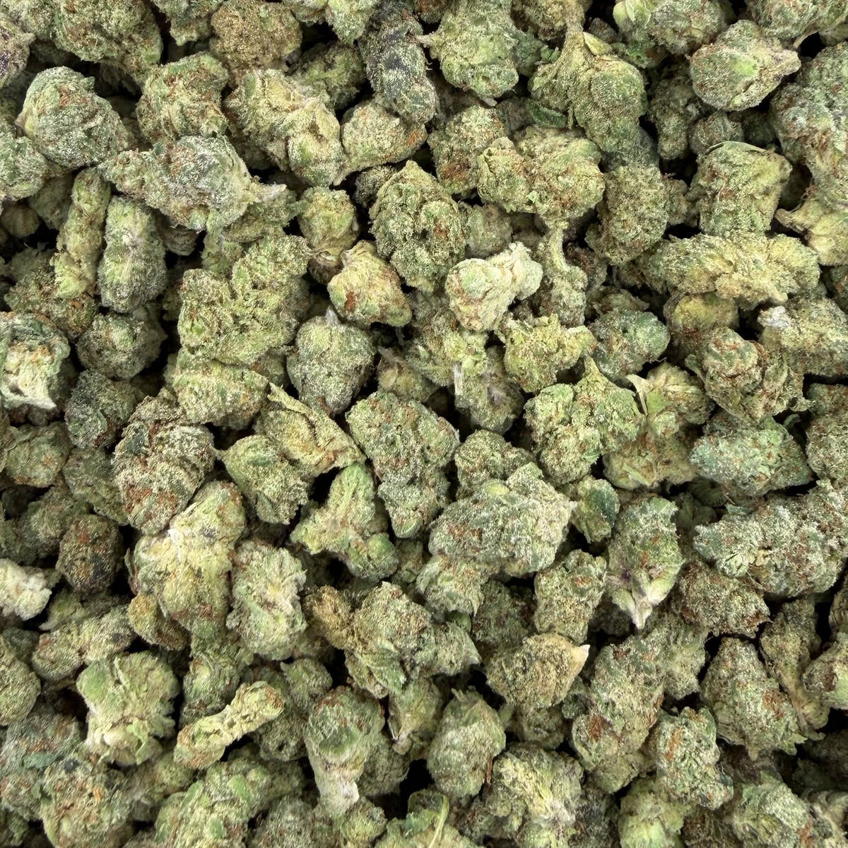 Jifflez bulk THCA flower — Plain Jane 1 lb