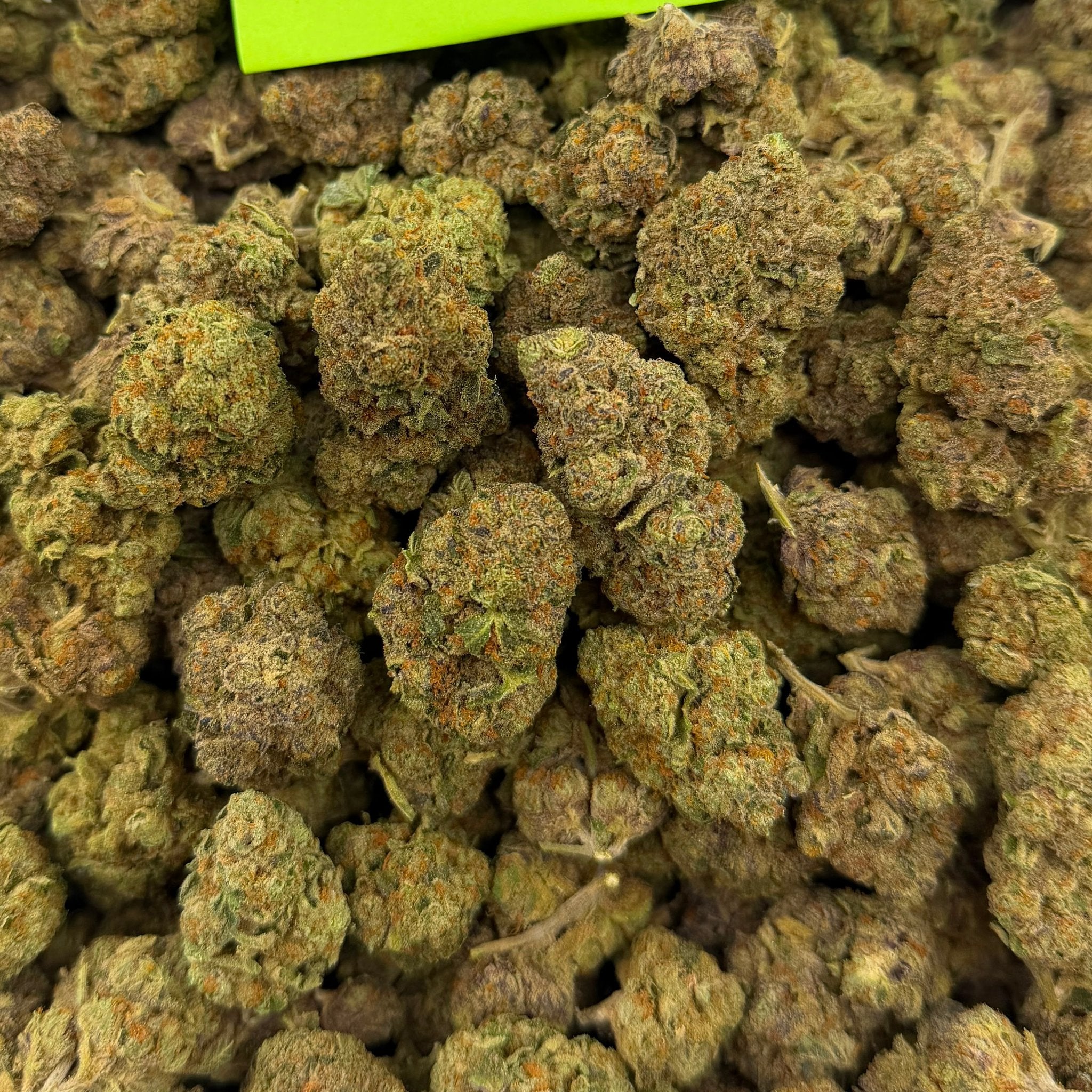 Joker Candy bulk THCA flower — Plain Jane 1 lb