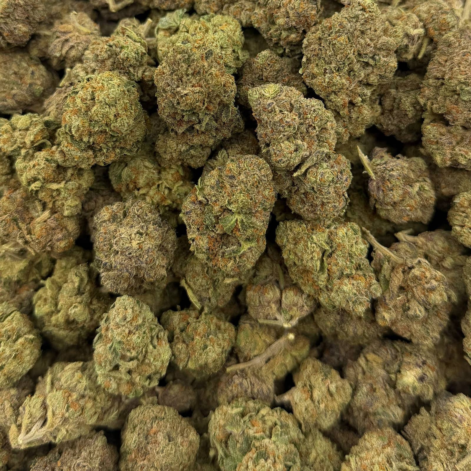 Joker Candy bulk THCA flower — Plain Jane 1 lb