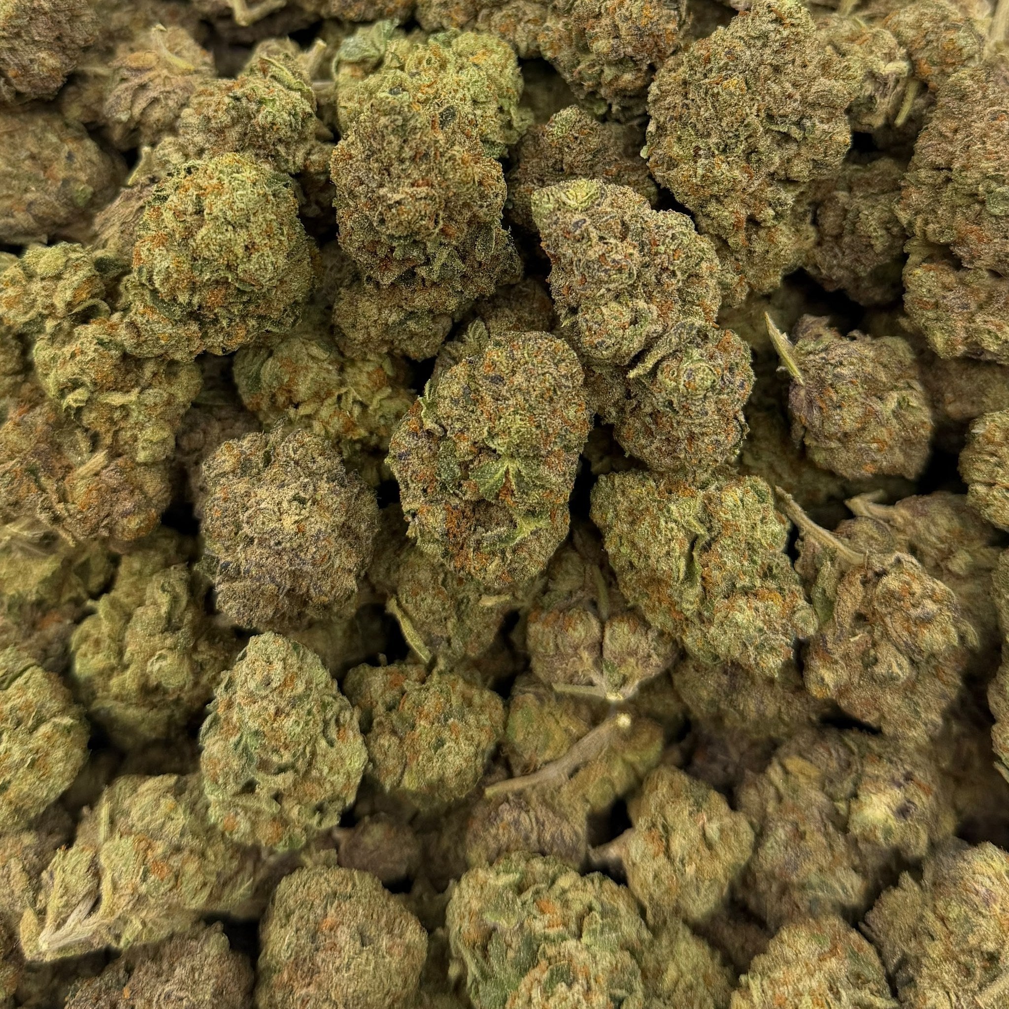 Joker Candy bulk THCA flower — Plain Jane 1 lb