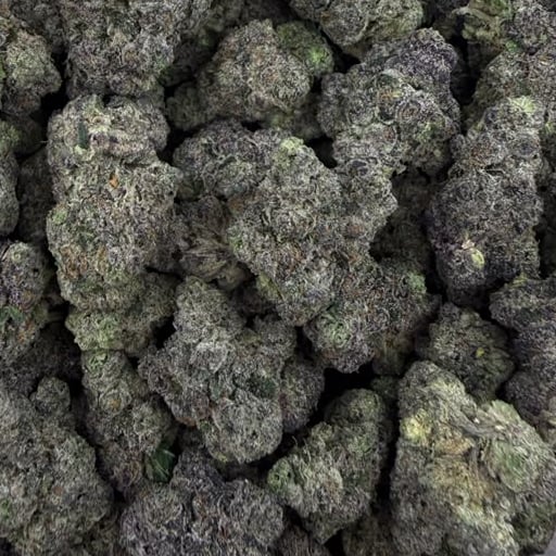 Jokerz X Gelato 41 bulk THCA flower — Plain Jane 1 lb