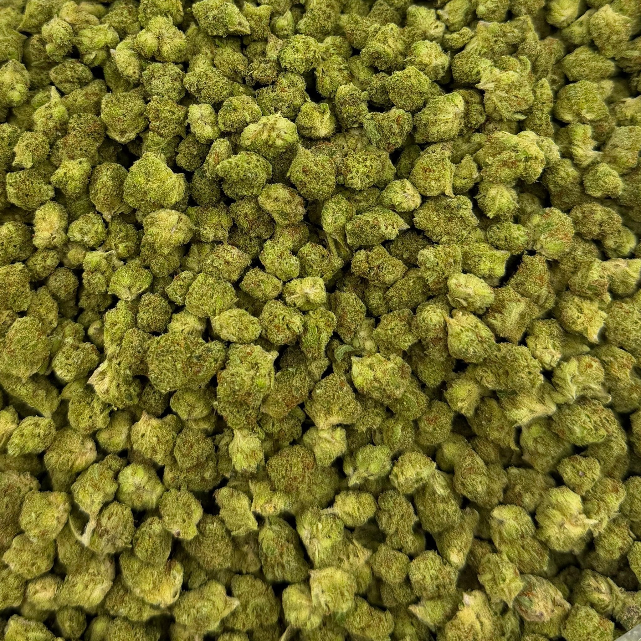 Juicy J bulk THCA flower — Plain Jane 1 lb
