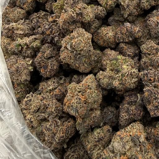 Juicy J bulk THCA flower — Plain Jane 1 lb