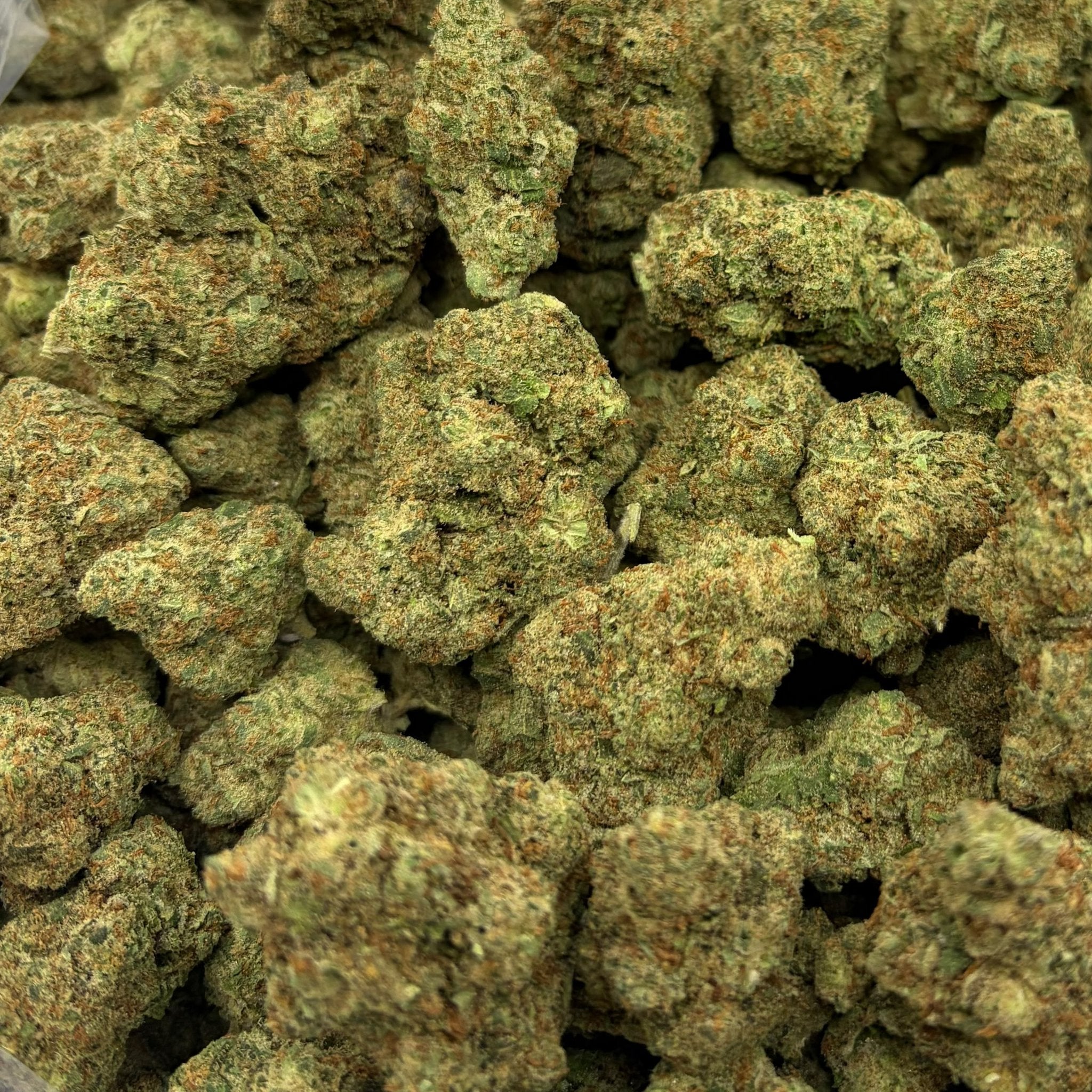 Juicy J bulk THCA flower — Plain Jane 1 lb