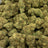 Juicy J bulk THCA flower — Plain Jane 1 lb
