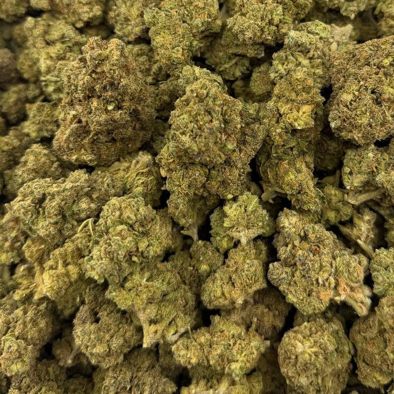 Jungle Cake bulk THCA flower — Plain Jane 1 lb