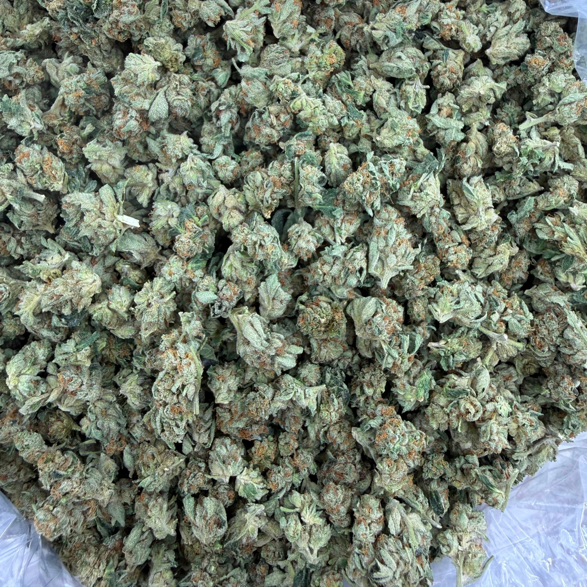 Kandy Kush bulk THCA flower — Plain Jane 1 lb