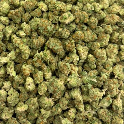 Kandy Kush bulk THCA flower — Plain Jane 1 lb