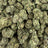 Kandy Kush bulk THCA flower — Plain Jane 1 lb