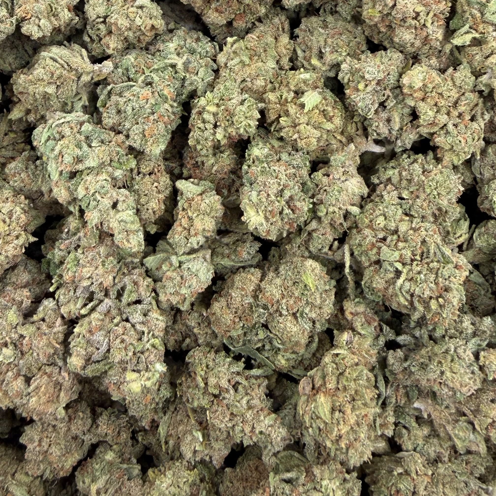 Kandy Runtz bulk THCA flower — Plain Jane 1 lb