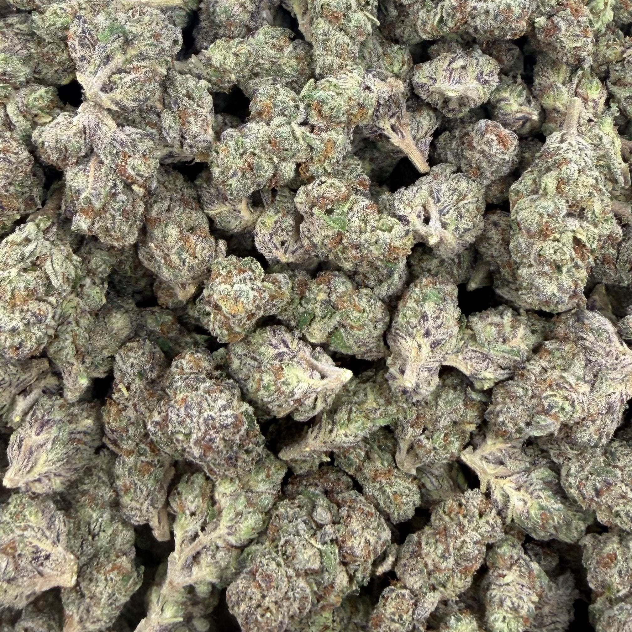 Kept Secret bulk THCA flower — Plain Jane 1 lb