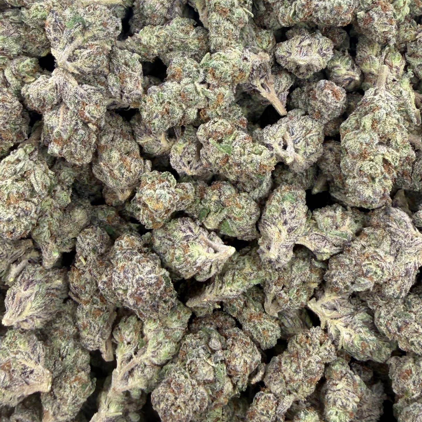 Kept Secret bulk THCA flower — Plain Jane 1 lb