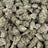 Kept Secret bulk THCA flower — Plain Jane 1 lb