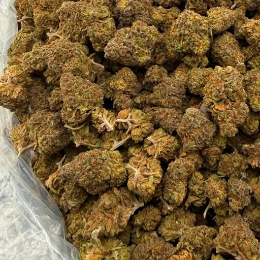 Key Lime bulk THCA flower — Plain Jane 1 lb
