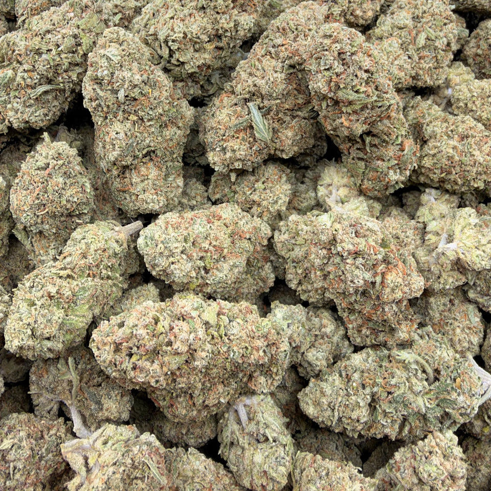 Key Lime (Light-Assisted) – Bulk THCA Flower 1 lb