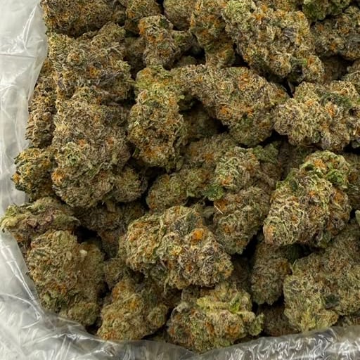 Kinglato bulk THCA flower — Plain Jane 1 lb