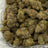 Kinglato bulk THCA flower — Plain Jane 1 lb