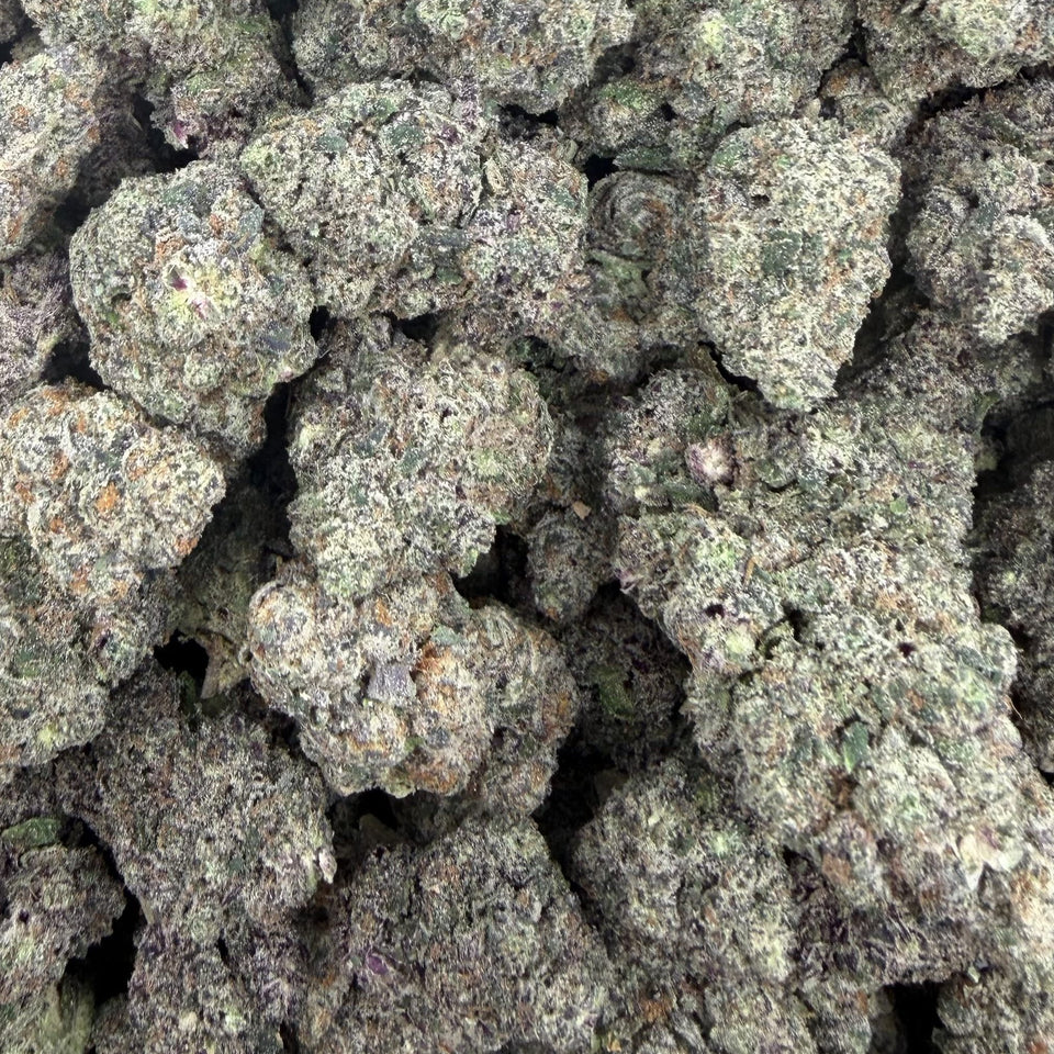 Kinglato (Boutique Exotic) – Bulk THCA Flower 1 lb
