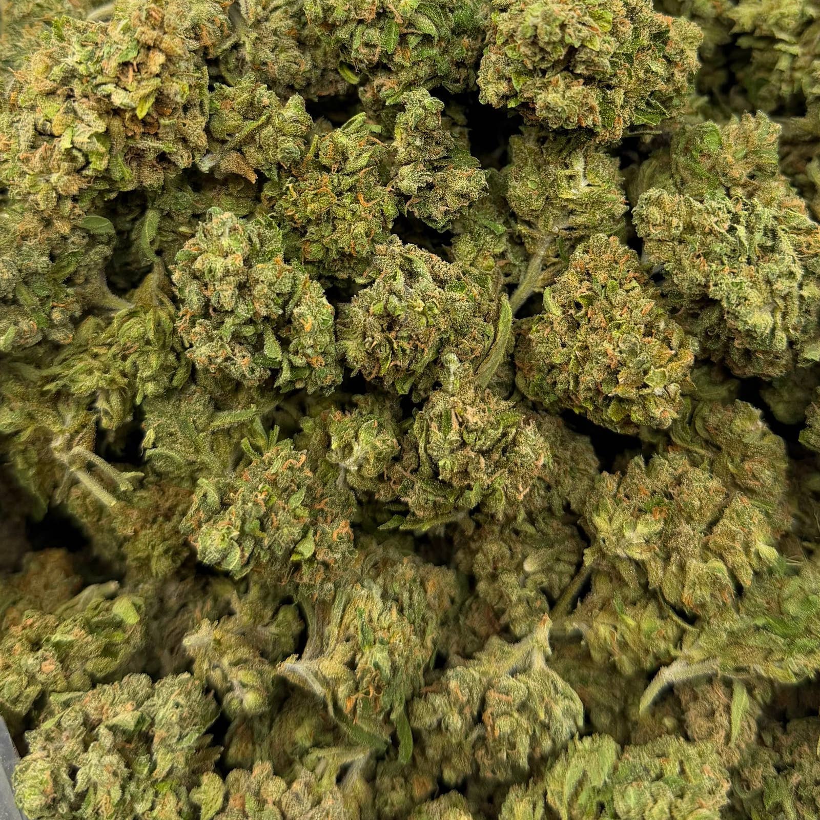 Kush Pie bulk THCA flower — Plain Jane 1 lb