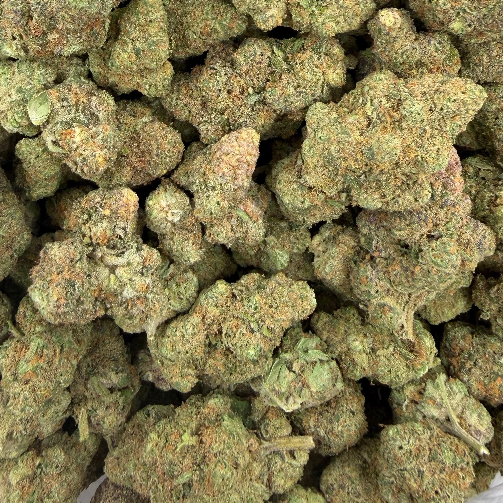 La Cheese bulk THCA flower — Plain Jane 1 lb