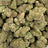 La Cheese bulk THCA flower — Plain Jane 1 lb