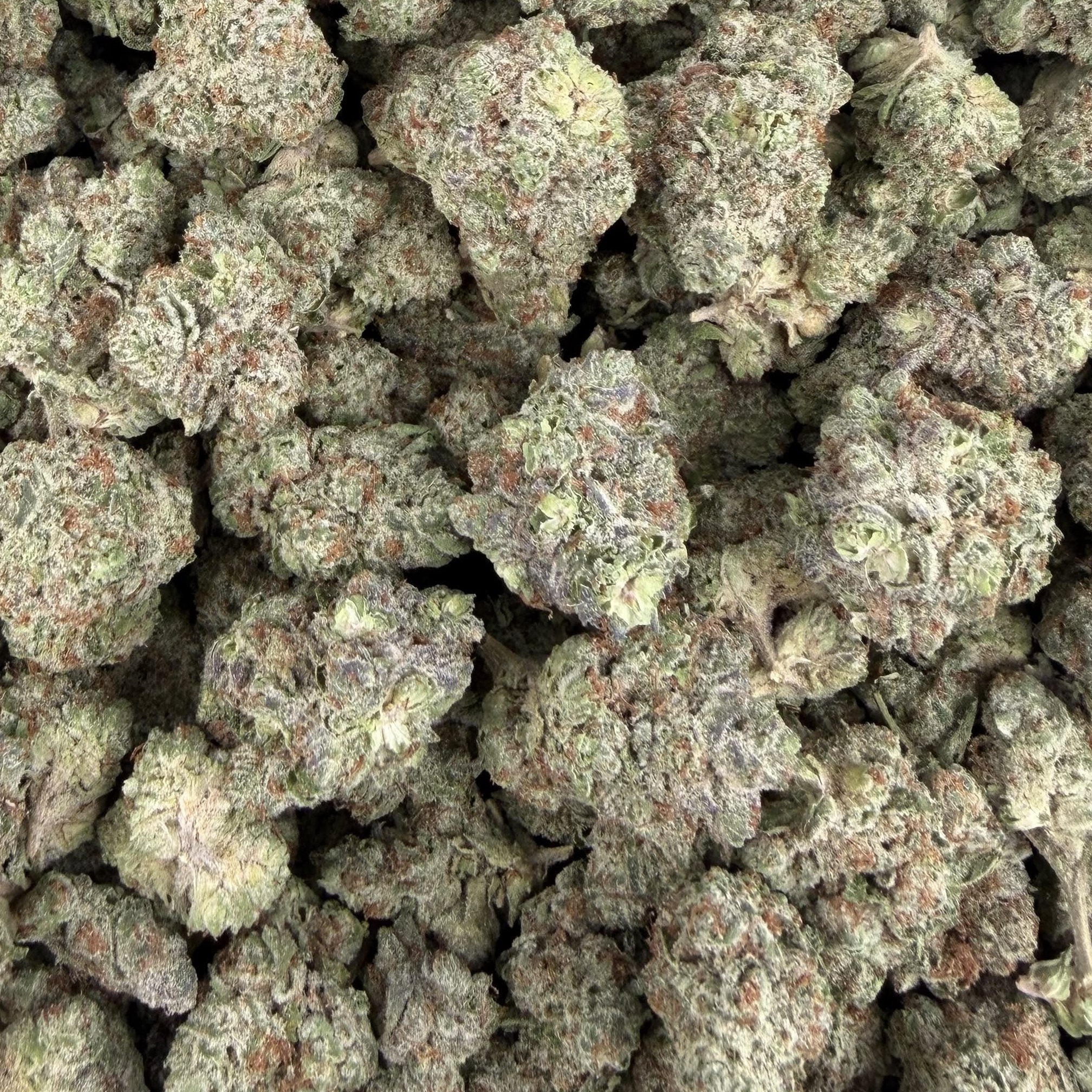 LA Cheese bulk THCA flower — Plain Jane 1 lb