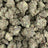 LA Cheese bulk THCA flower — Plain Jane 1 lb