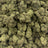 Laffy Taffy bulk THCA flower — Plain Jane 1 lb