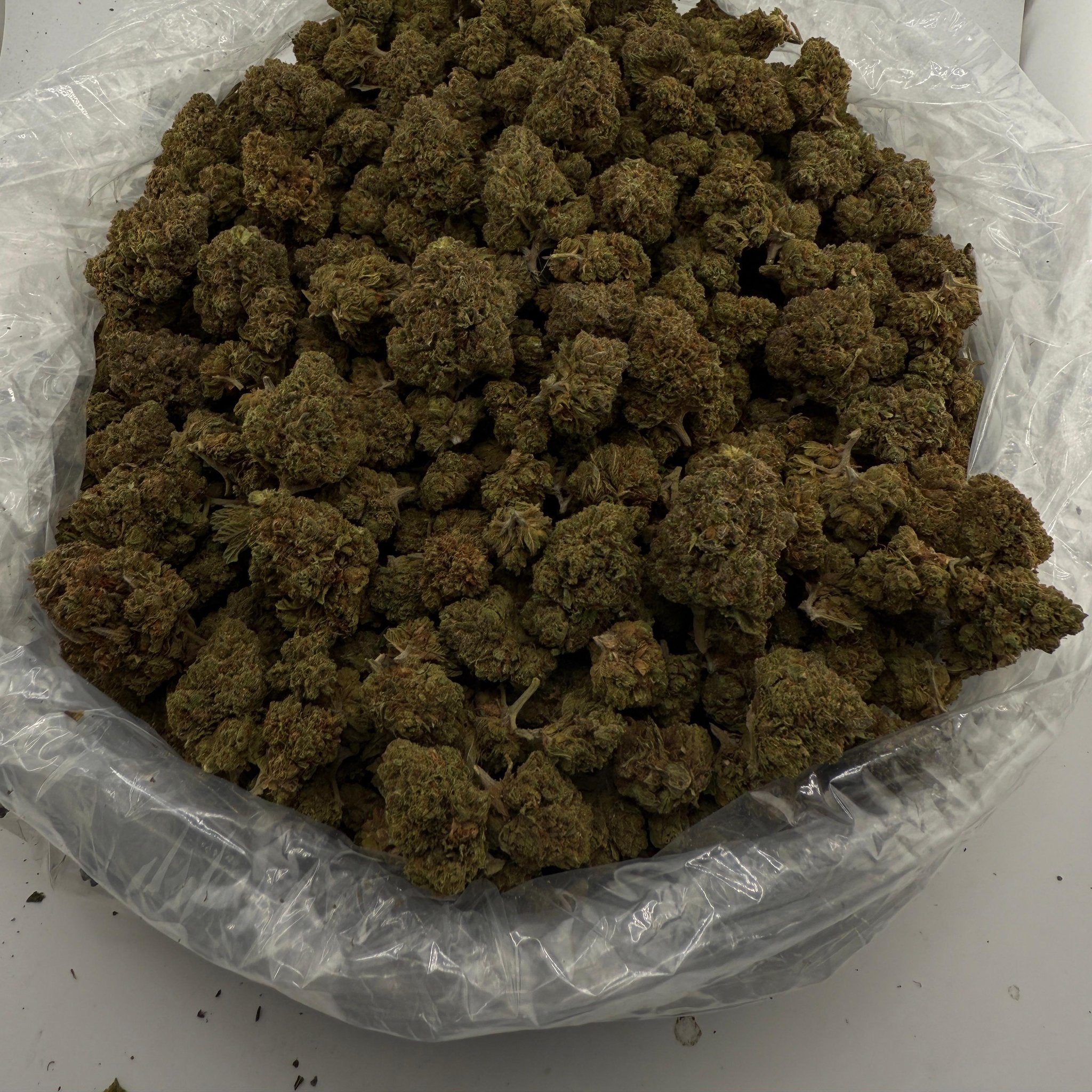 LCG bulk THCA flower — Plain Jane 1 lb