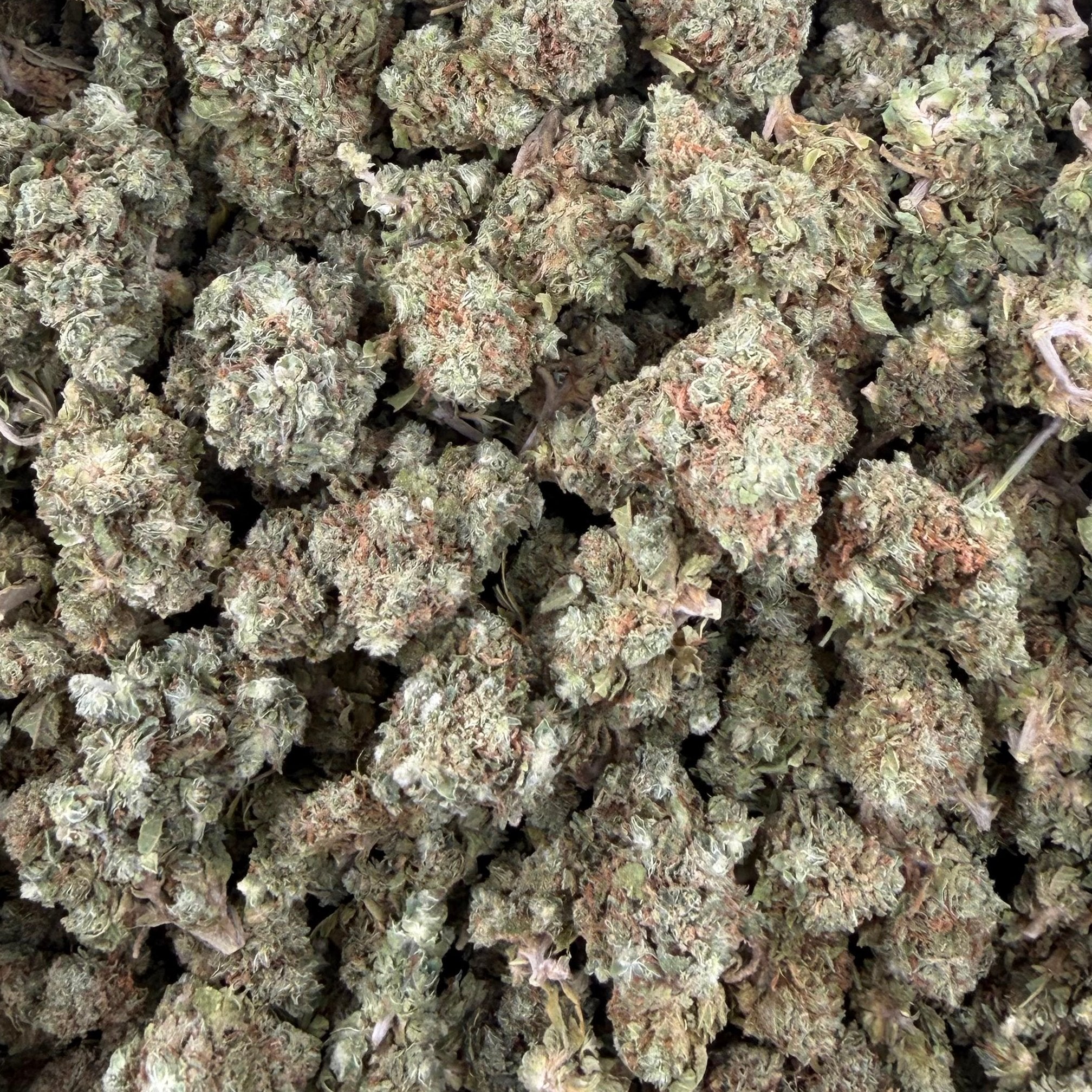 LCG bulk THCA flower — Plain Jane 1 lb