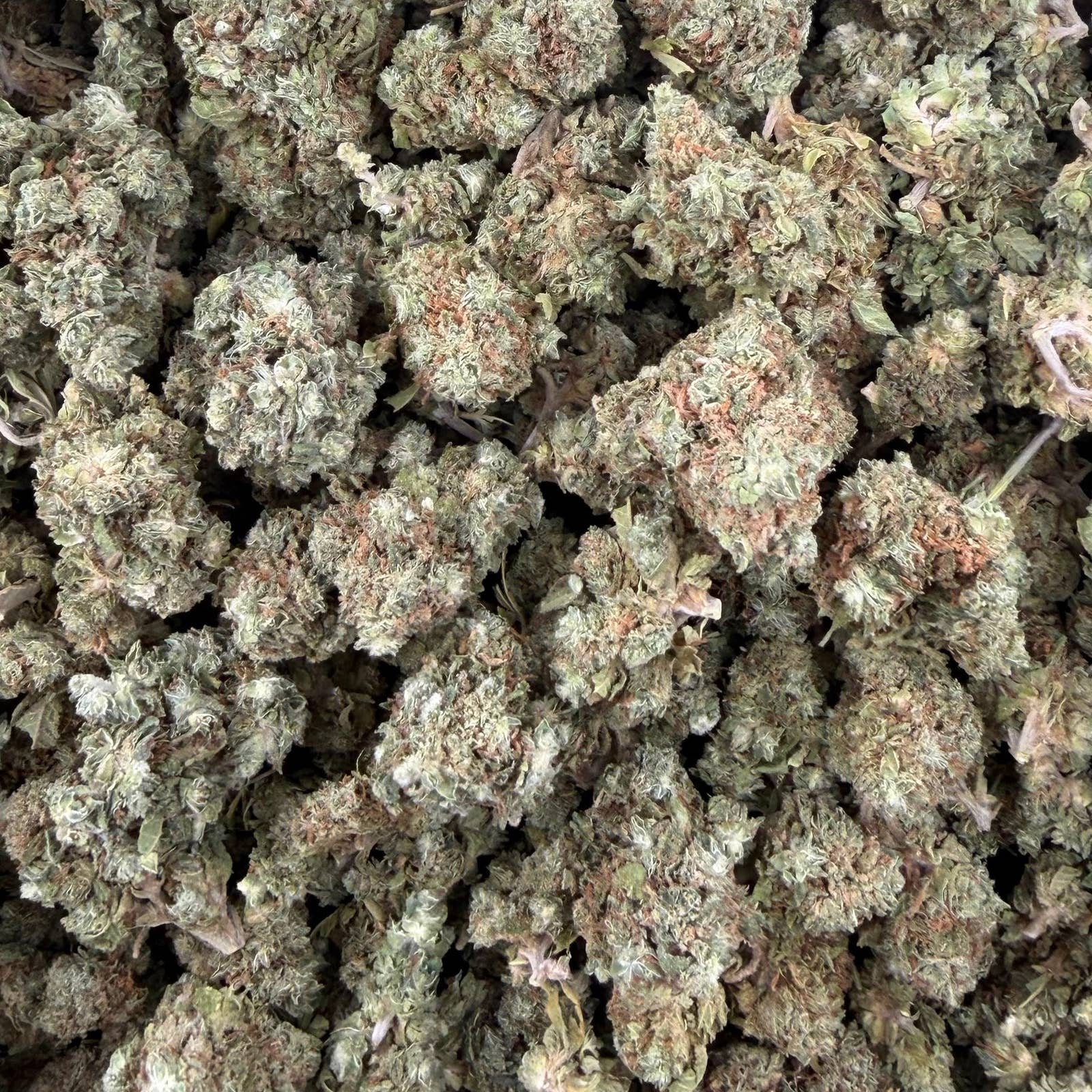 LCG bulk THCA flower — Plain Jane 1 lb