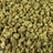 Lemon Bars bulk THCA flower — Plain Jane 1 lb