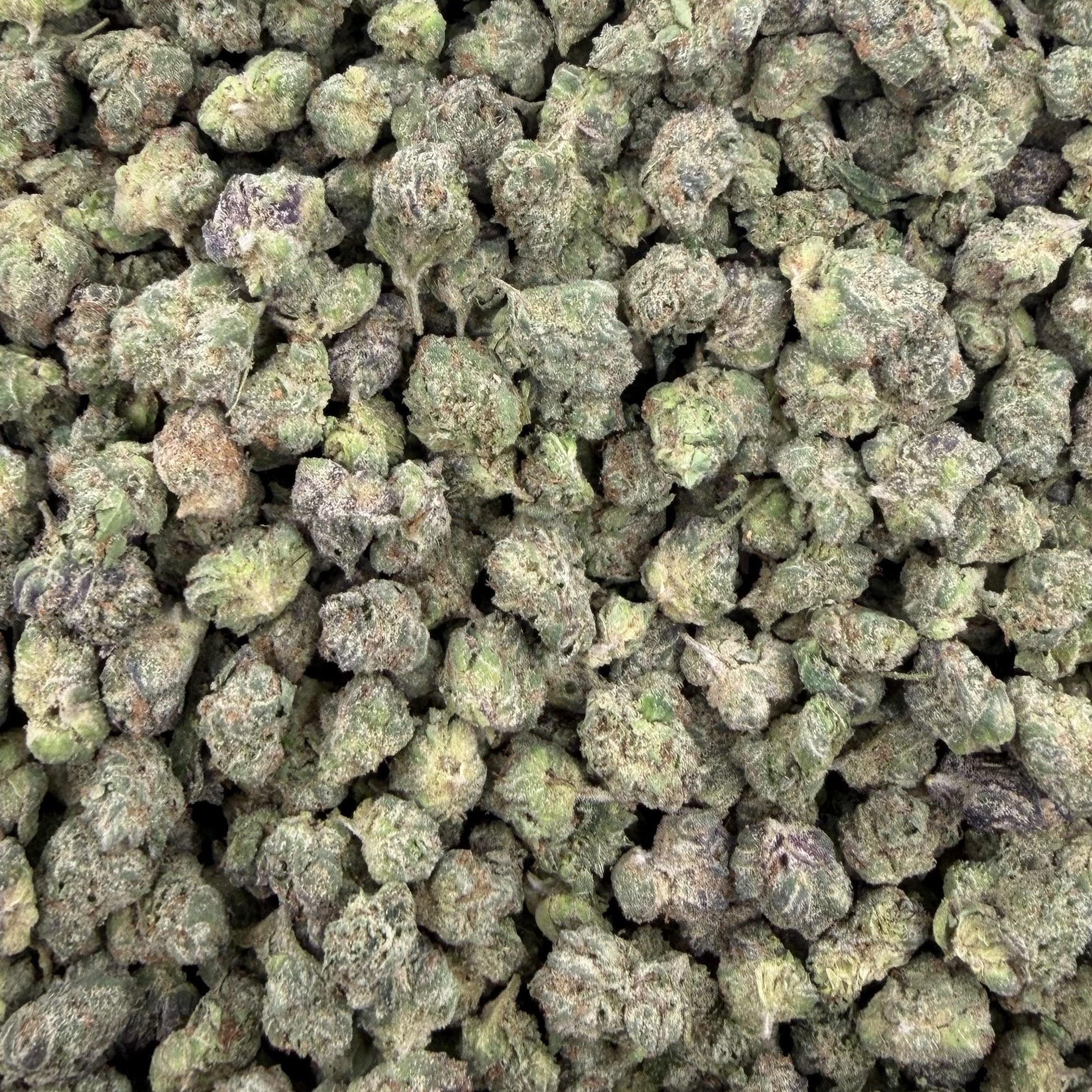 Lemon Cherry Gelato bulk THCA flower — Plain Jane 1 lb