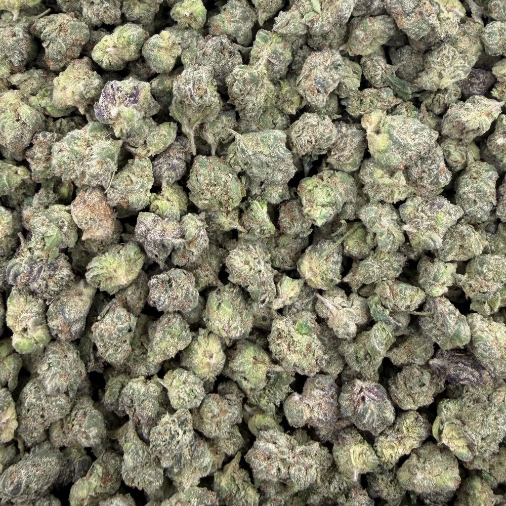 Lemon Cherry Gelato
