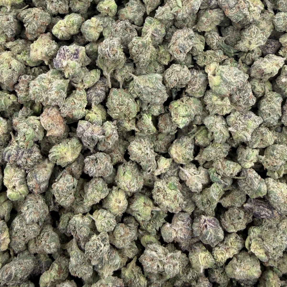 Lemon Cherry Gelato bulk THCA flower — Plain Jane 1 lb