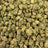 Lemon Cherry Runtz bulk THCA flower — Plain Jane 1 lb