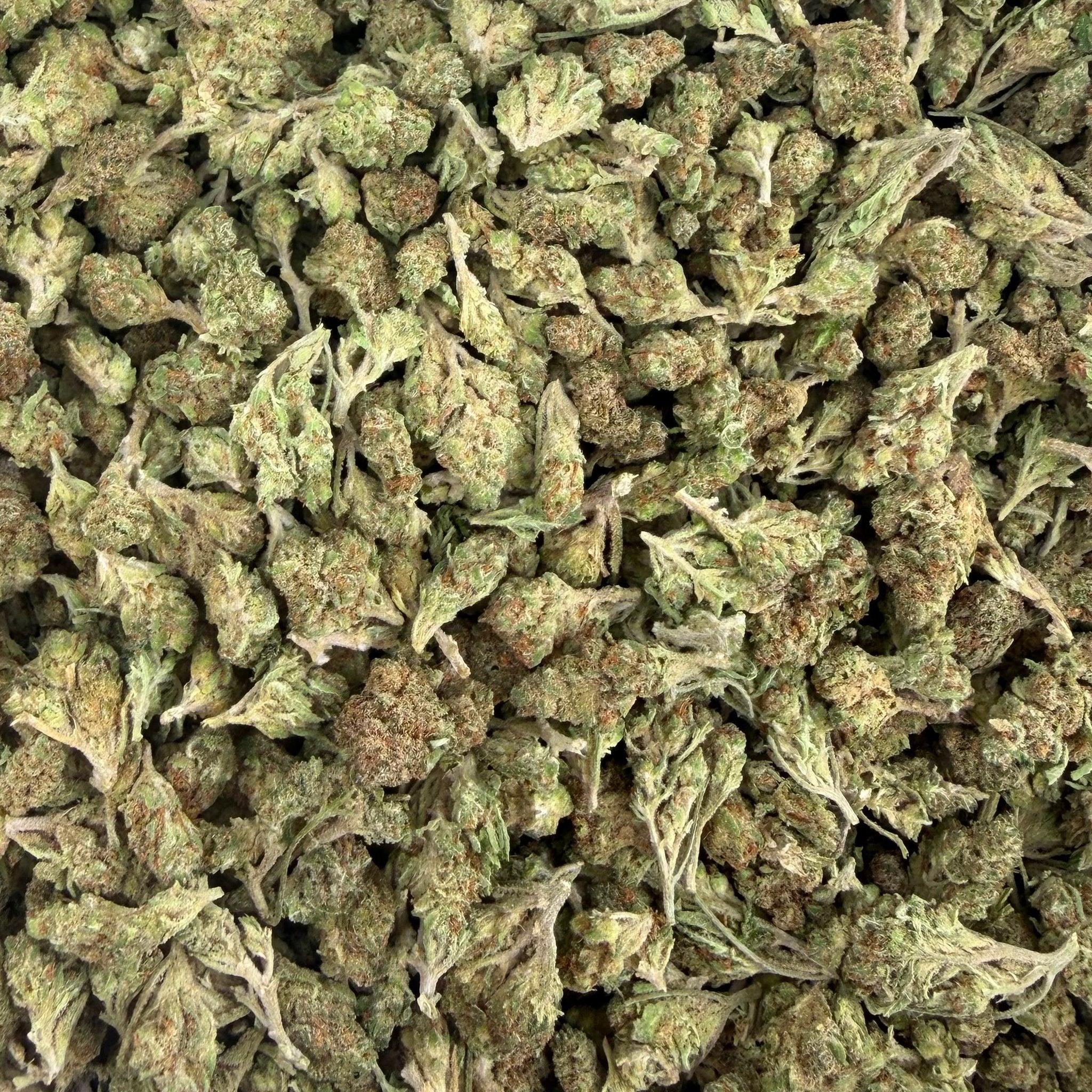 Lemon Drop bulk THCA flower — Plain Jane 1 lb