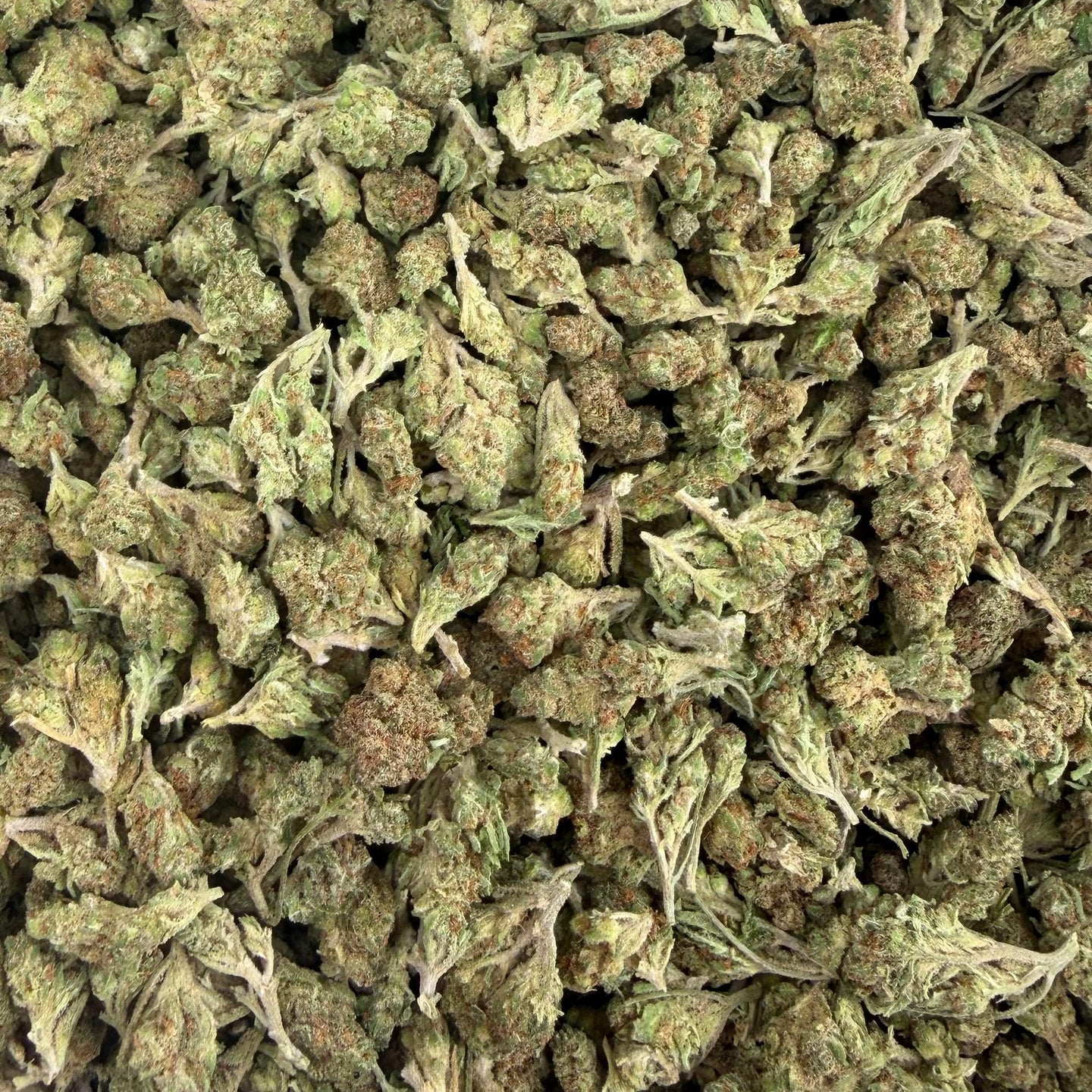 Lemon Drop bulk THCA flower — Plain Jane 1 lb