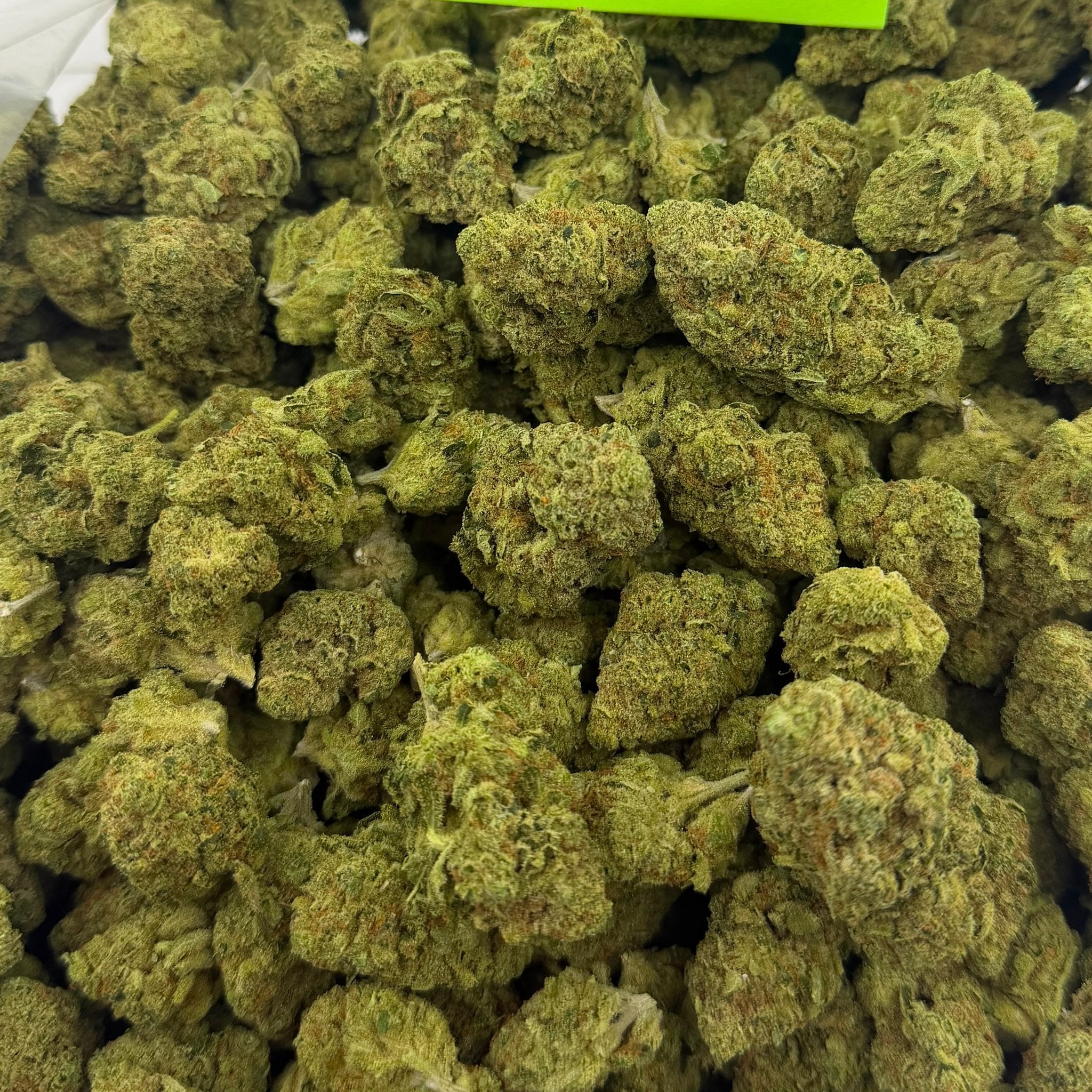 Lemon Freeze bulk THCA flower — Plain Jane 1 lb