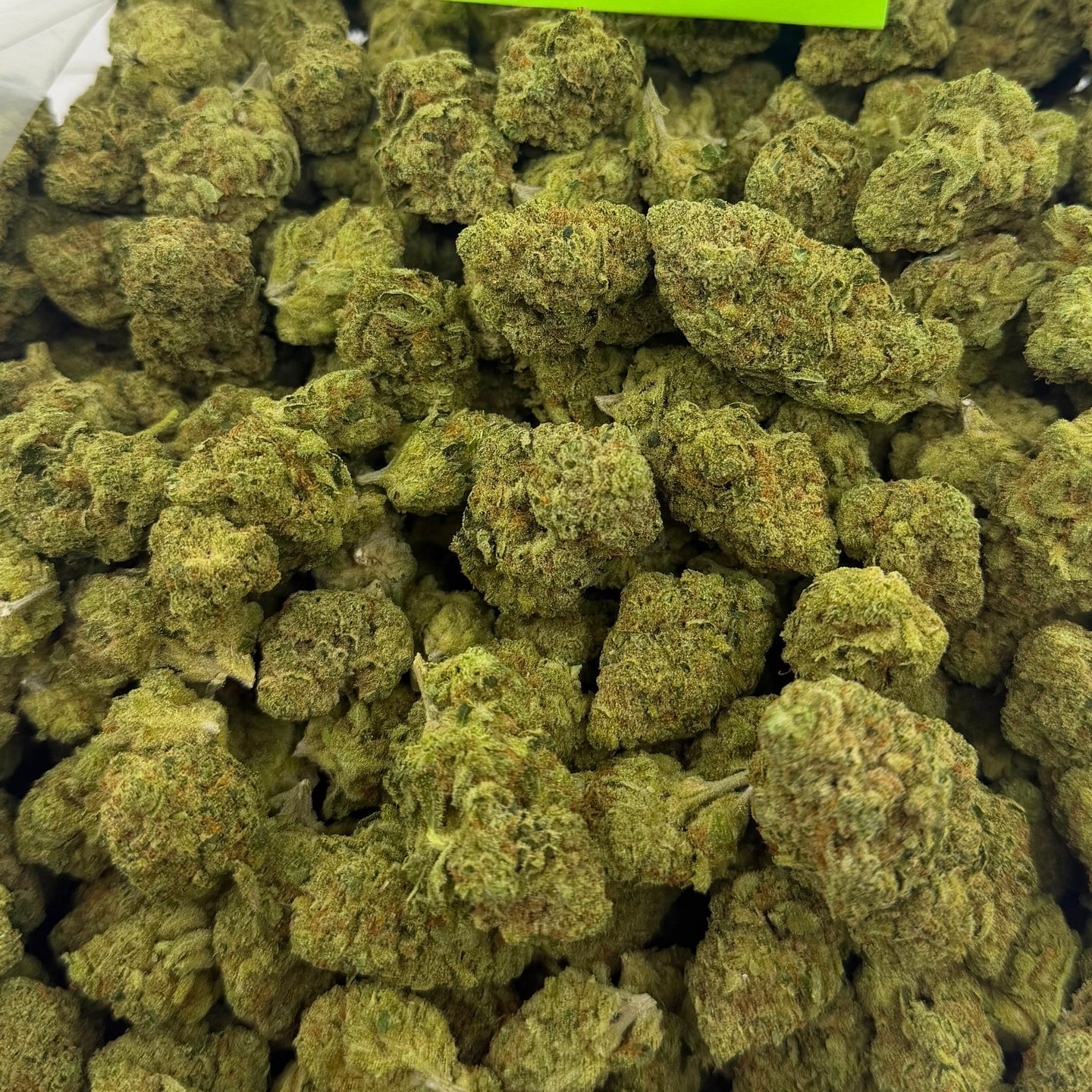 Lemon Freeze bulk THCA flower — Plain Jane 1 lb