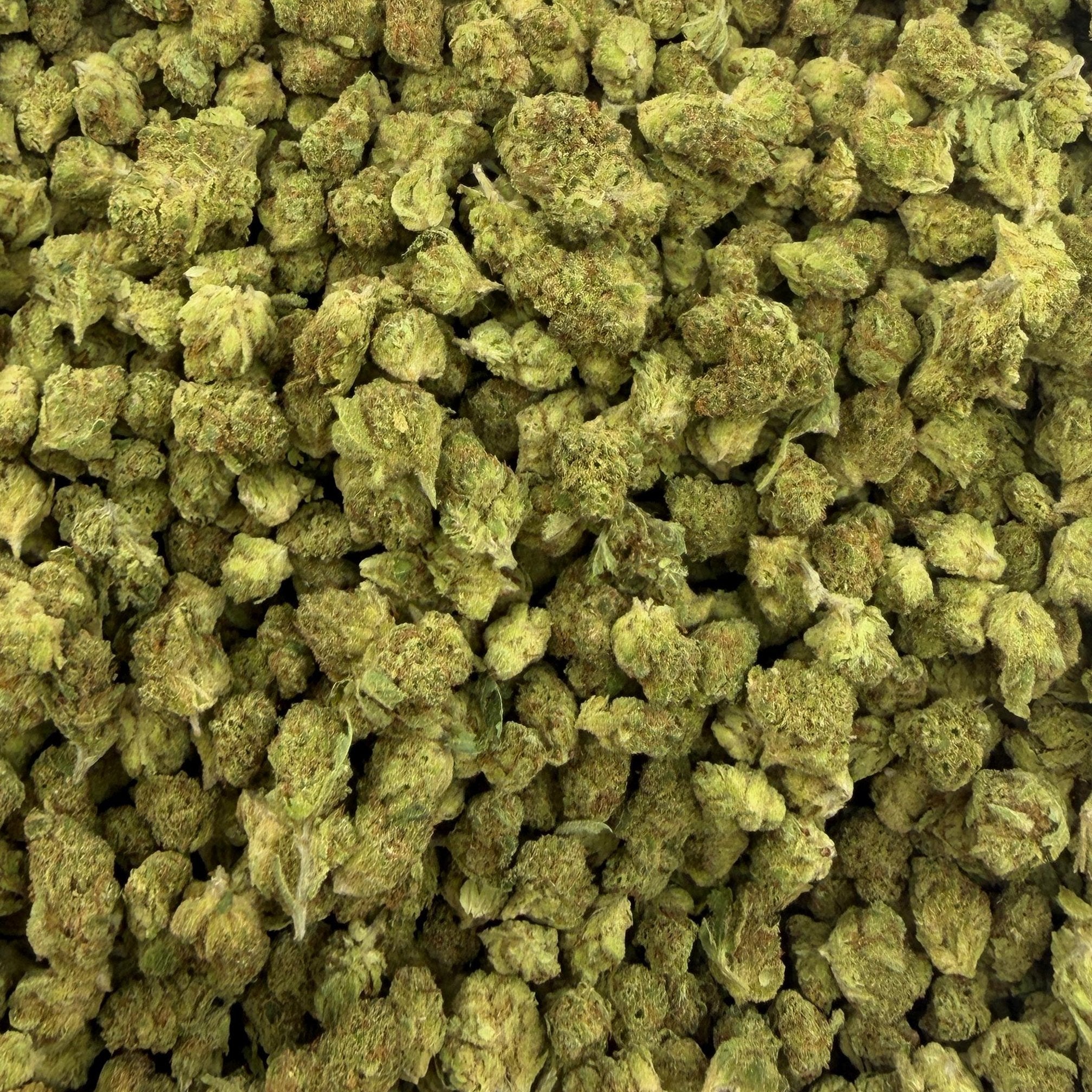 Lemon Freeze bulk THCA flower — Plain Jane 1 lb