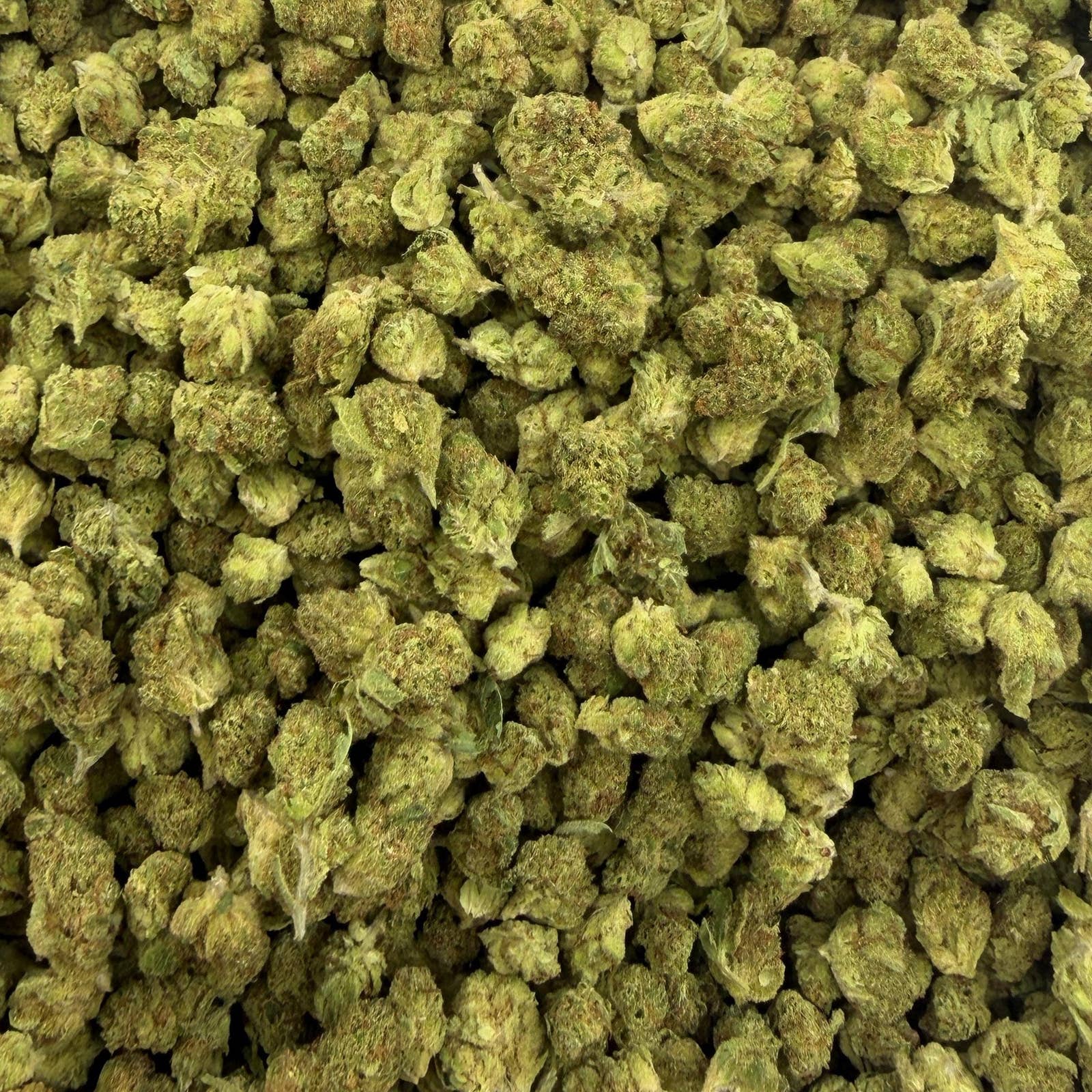 Lemon Freeze bulk THCA flower — Plain Jane 1 lb