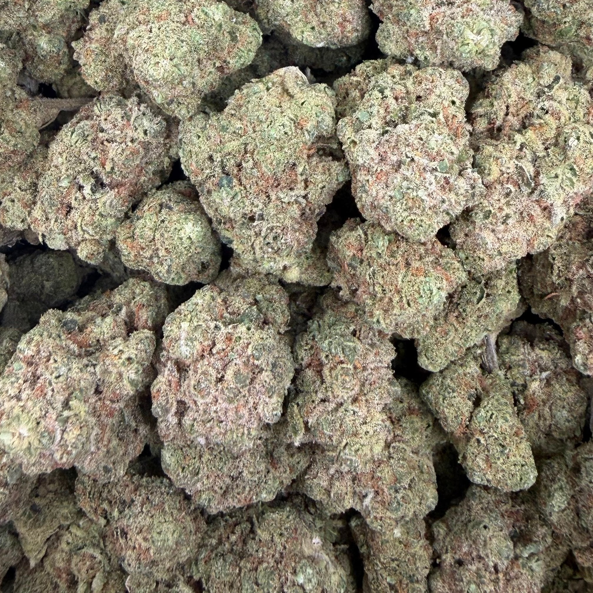 Lemon Freeze bulk THCA flower — Plain Jane 1 lb
