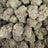 Lemon Freeze bulk THCA flower — Plain Jane 1 lb