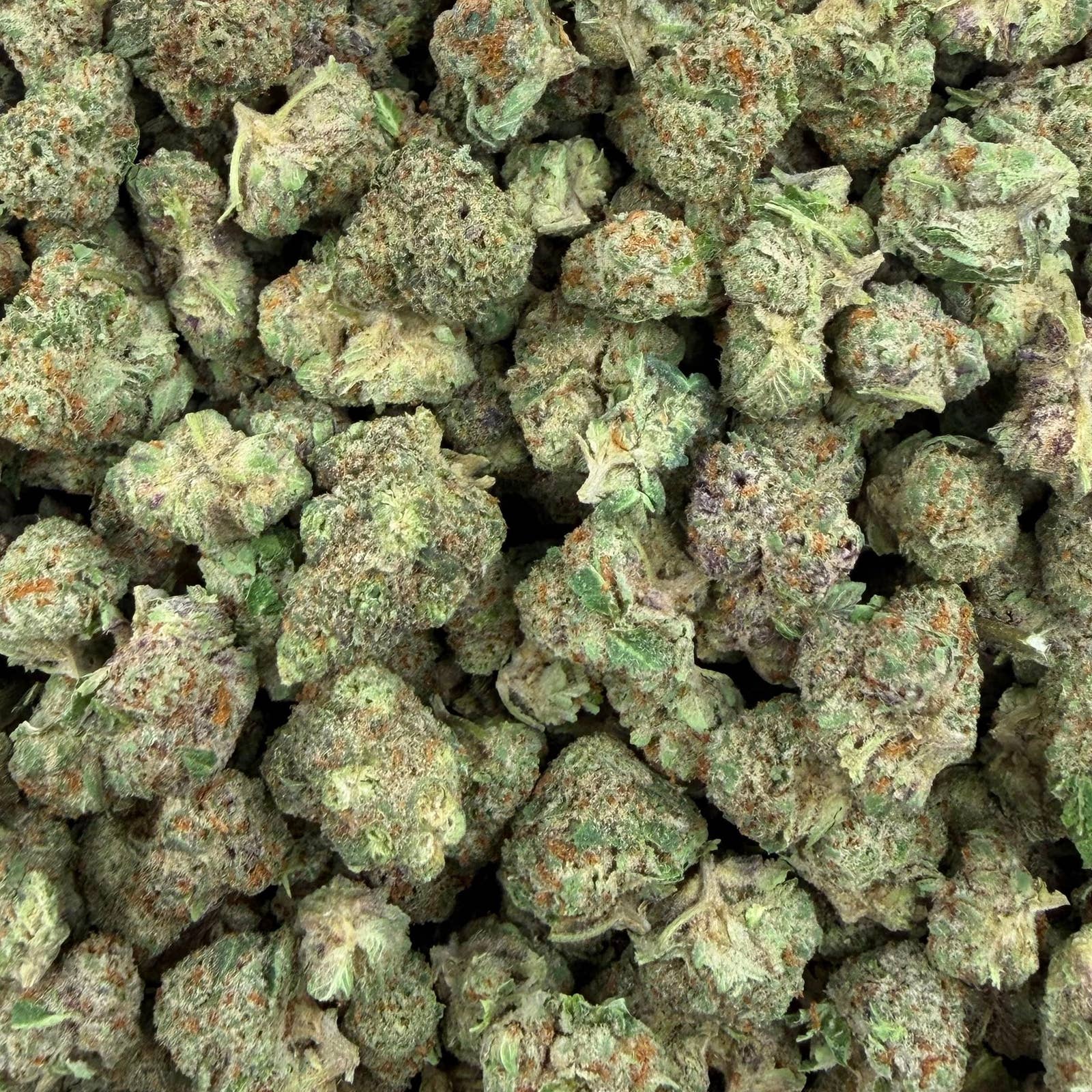 Lemon Gas Mask bulk THCA flower — Plain Jane 1 lb
