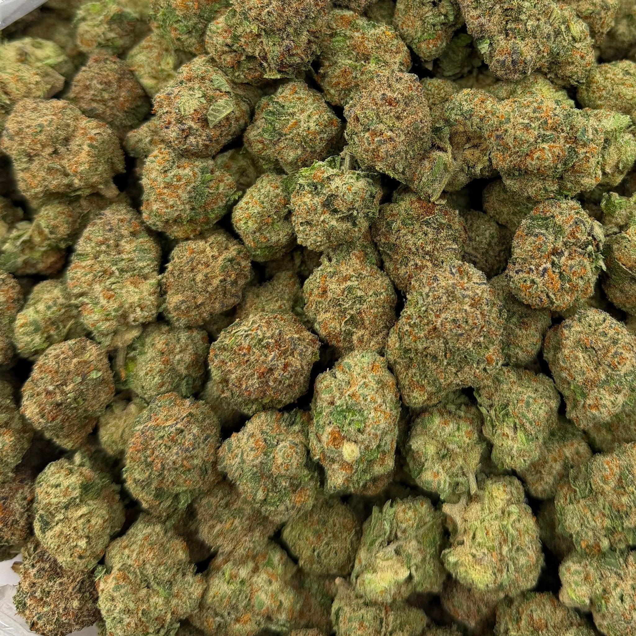 Lemon Gas Mask bulk THCA flower — Plain Jane 1 lb