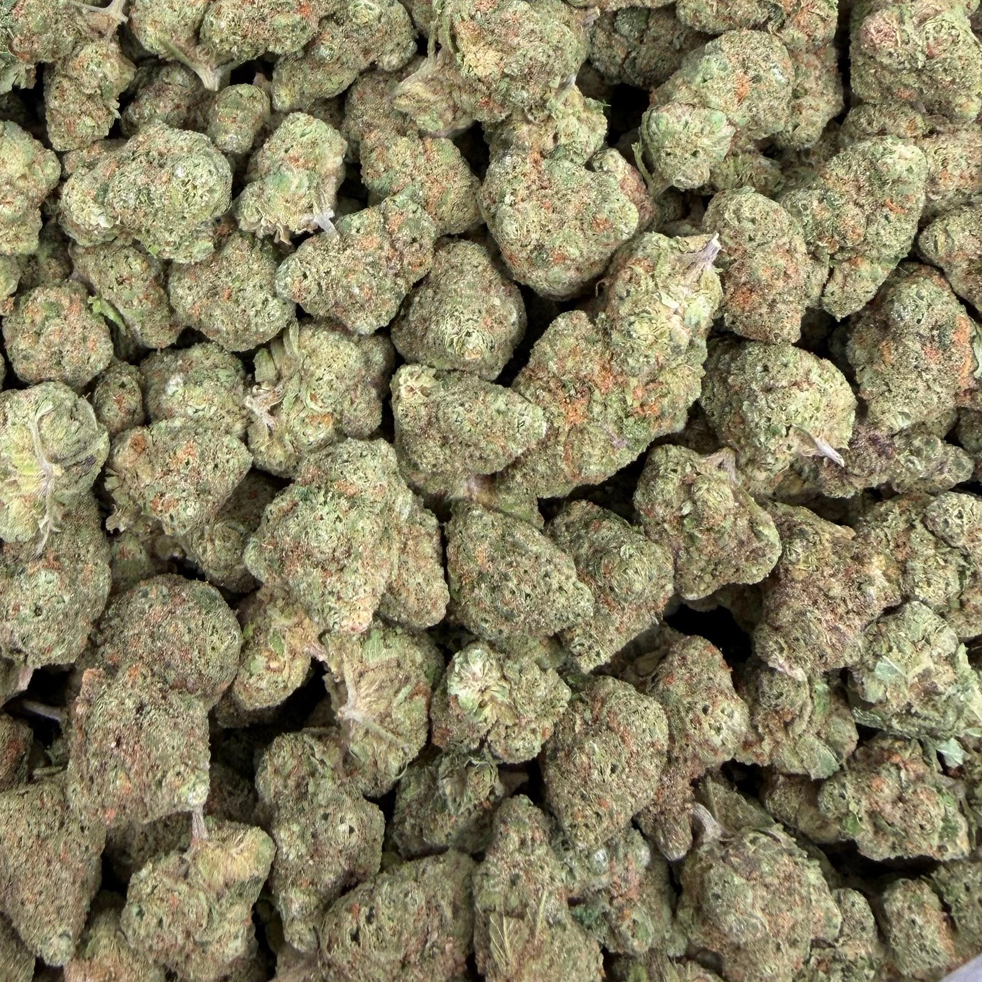 Lemon Gas Mask bulk THCA flower — Plain Jane 1 lb