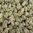 Lemon Gas Mask bulk THCA flower — Plain Jane 1 lb