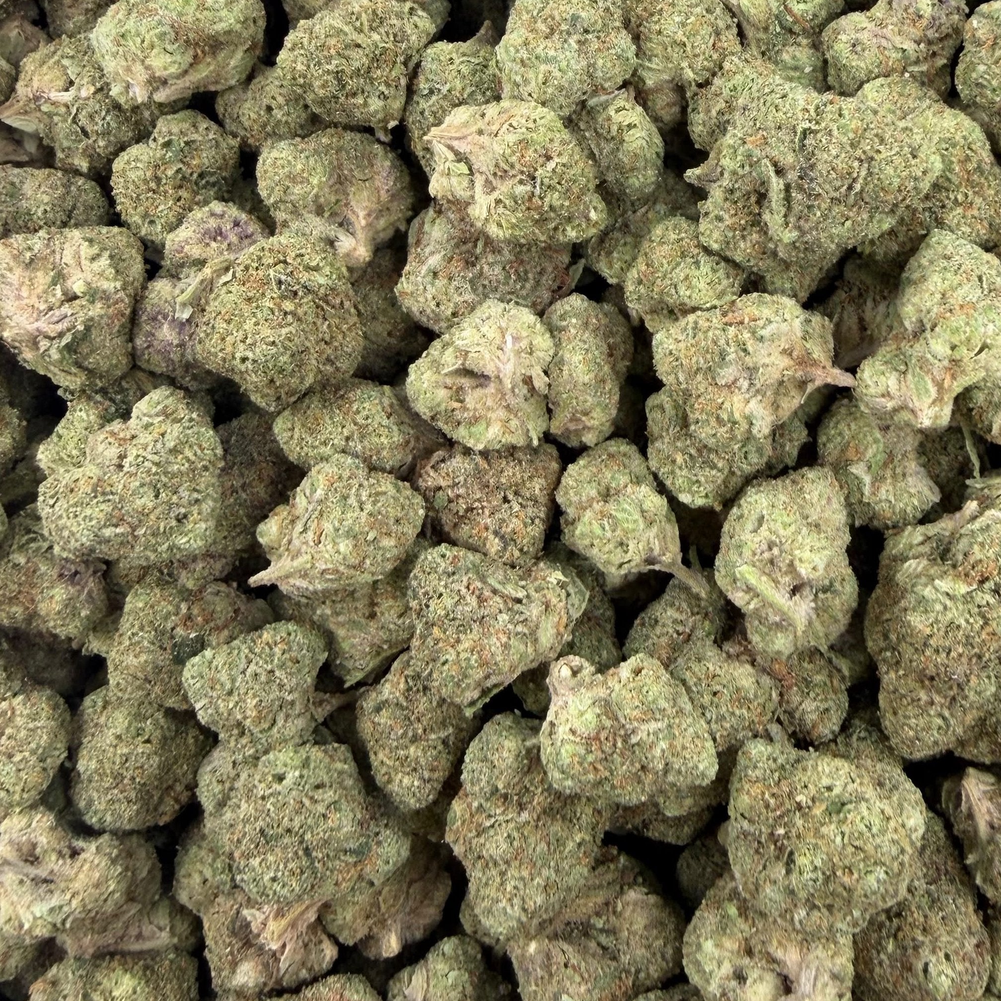 Lemon Gas Mask bulk THCA flower — Plain Jane 1 lb